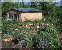 Rabbit Bunny Barn - the Nature Trail