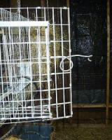 all-wire 4-H rabbit cage door hung building a door for an all-wire meat rabbit hutch