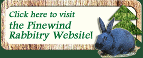 Rabbits in New York State