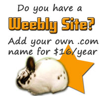 Do you have a Weebly website?