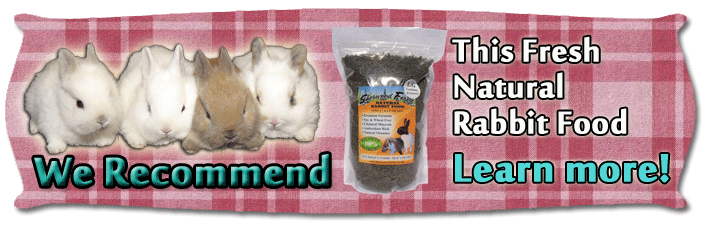 show pet healthy rabbit food