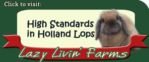 Visit Lazy Livin' Farms - Holland Lops in Florida Holland Lop Rabbits in Citrus County, Florida