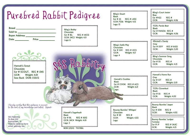 Free Rabbit Pedigree Template from www.thenaturetrail.com