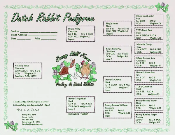 Rabbit pedigree